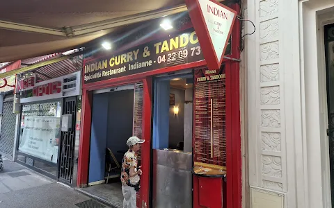 Indian Curry & Tandoori image