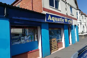 Aquatic World image