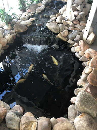 Subaru Dealer «Heuberger Subaru», reviews and photos, 1080 Motor City Dr, Colorado Springs, CO 80905, USA