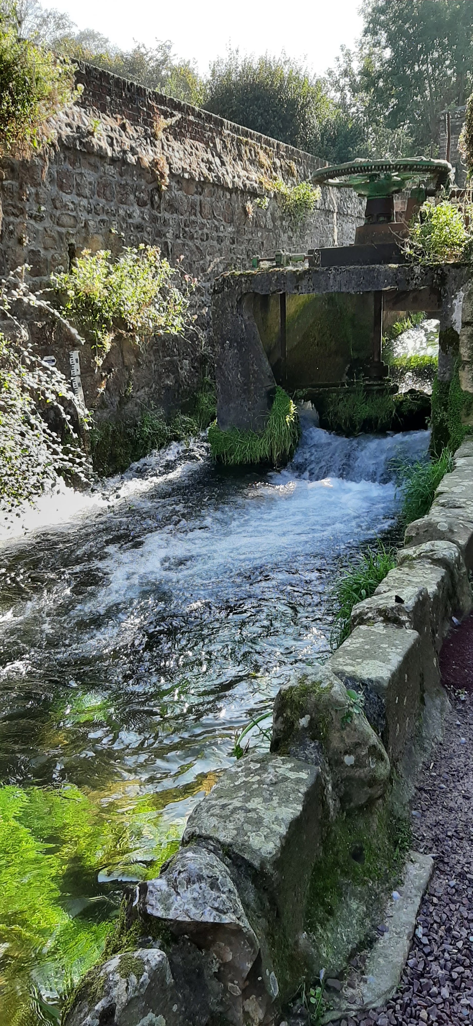 Photo n° 5 de l'avis de Christiane.a fait le 16/10/2021 à 05:10