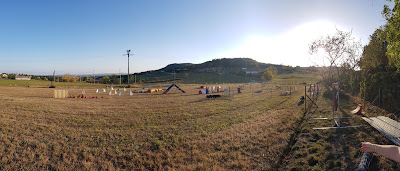 Agility Club Annonay à Peaugres