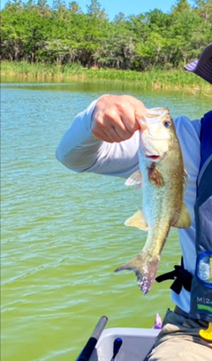 Park «Lake Rogers Park», reviews and photos, 9010 N Mobley Rd, Odessa, FL 33556, USA