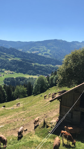 Rezensionen über Alpwirtschaft Schornenrain in Schwyz - Restaurant