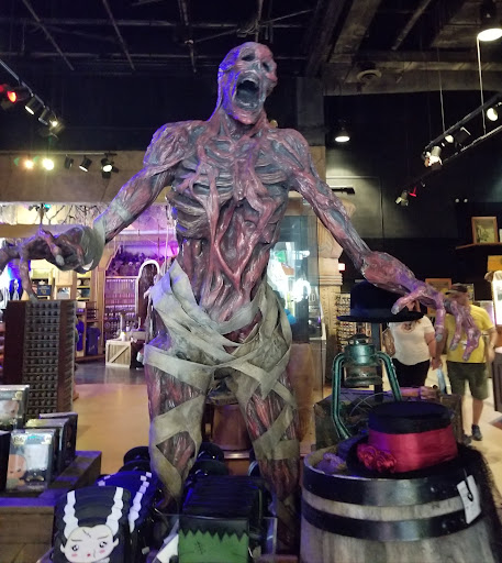 Roller Coaster «Revenge of the Mummy», reviews and photos, 6000 Universal Blvd, Orlando, FL 32819, USA