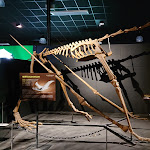 Photo n° 6 de l'avis de Eric.. fait le 12/08/2019 à 14:05 pour PALEOPOLIS à Gannat