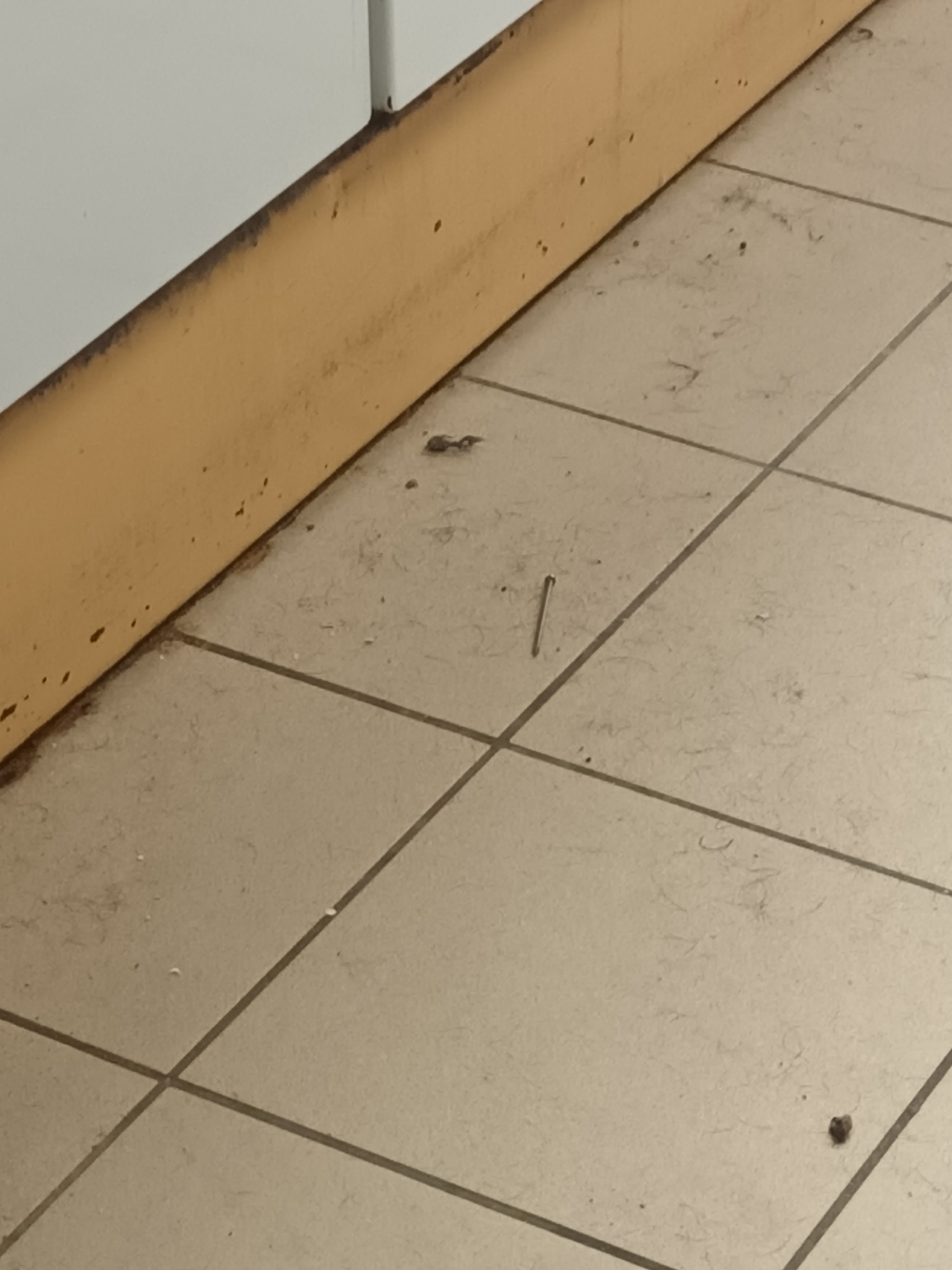 Photo n° 2 de l'avis de Hélène.o fait le 13/02/2024 à 16:28