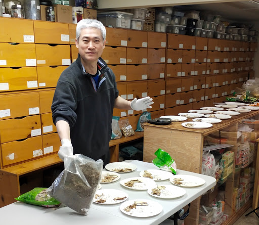 Grocery Store «Seoul International Market», reviews and photos, 15154 Fort Campbell Blvd, Oak Grove, KY 42262, USA