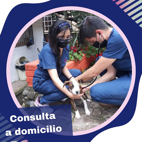 Animal Heart Centro Veterinario - Gualaceo