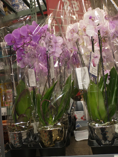 Warehouse club «BJ’s Wholesale Club», reviews and photos, 7260 Bell Creek Rd, Mechanicsville, VA 23111, USA