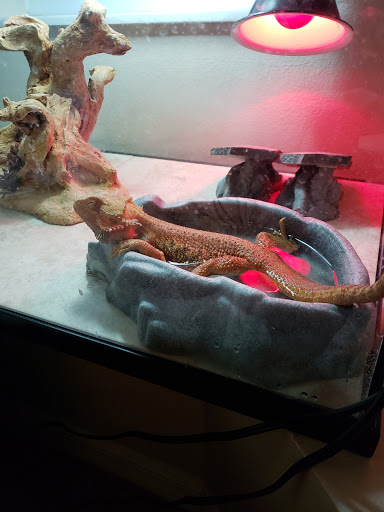 Pet Store «A Family Pet Center», reviews and photos, 6230 N Lockwood Ridge Rd, Sarasota, FL 34243, USA