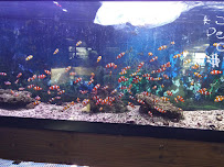 Pet World Ltd - Photo 9 - Car repair in Newport News, VA, Newport News