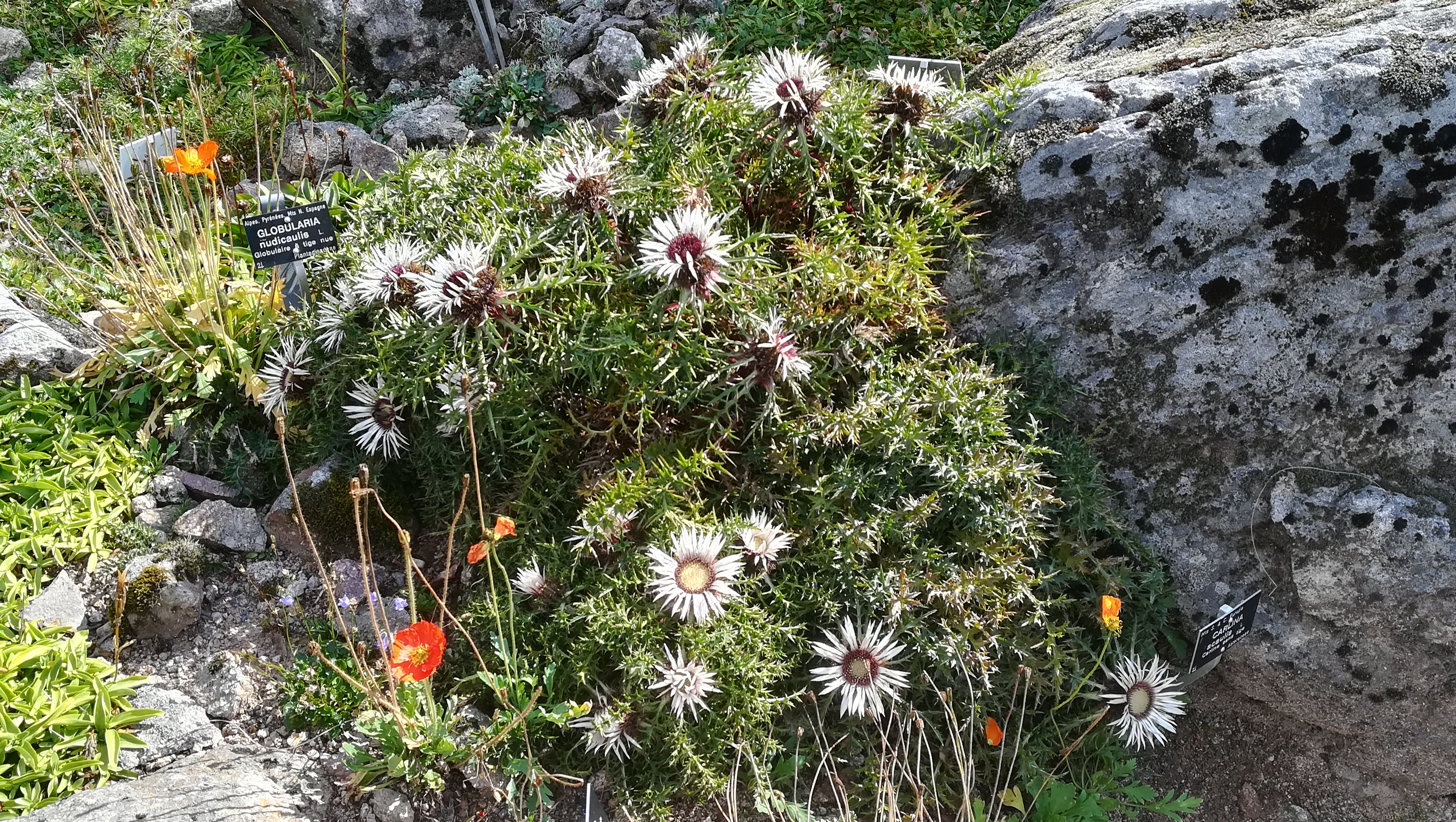 Photo n° 2 de l'avis de henrich.i fait le 27/08/2018 à 16:42