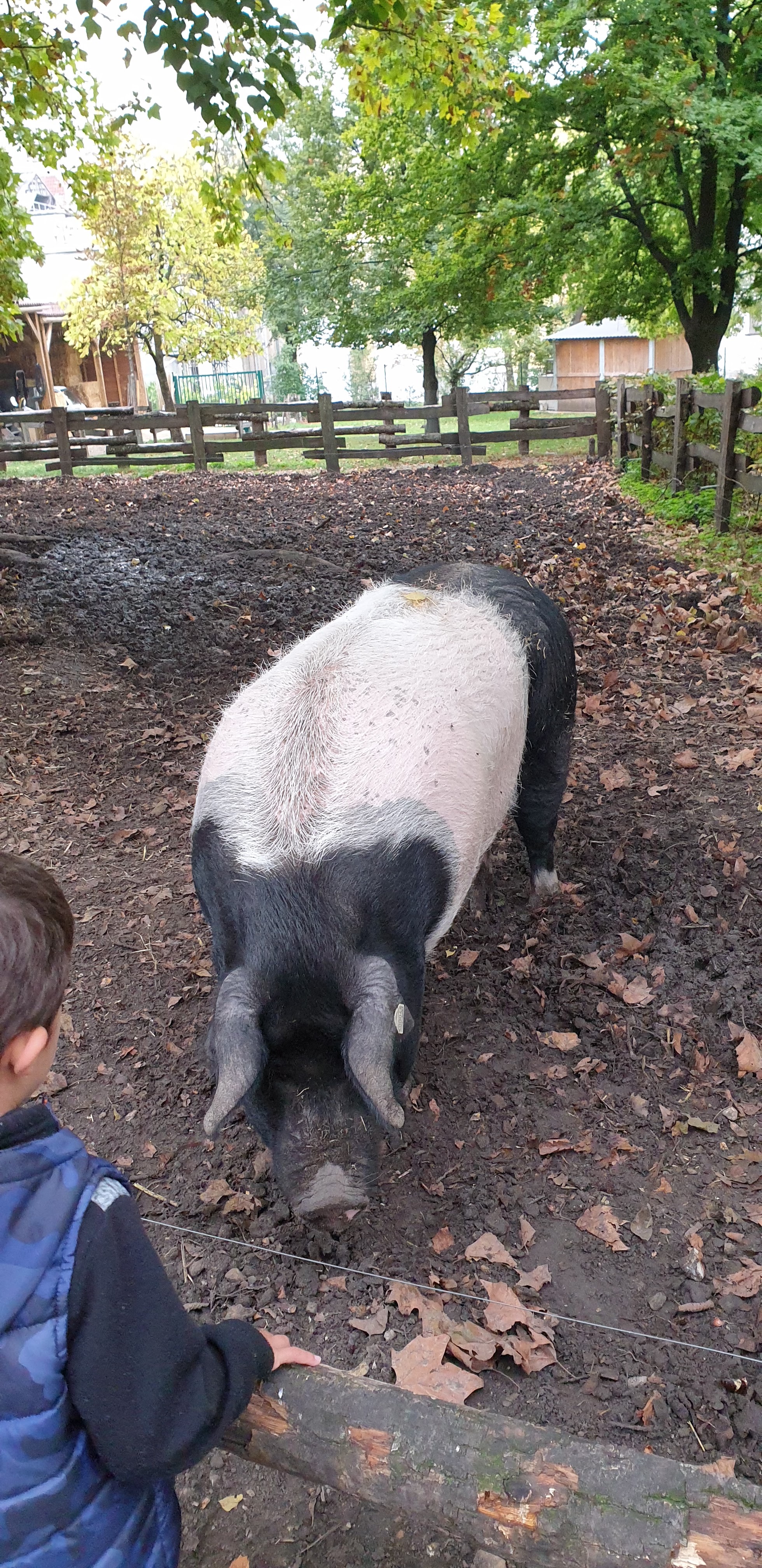 Photo n° 14 de l'avis de Julien.' fait le 23/10/2019 à 14:35