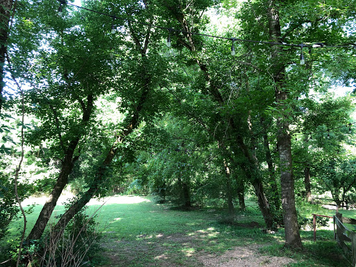 Restaurant «Goodness Gracious at the Mill», reviews and photos, 5418 Murfreesboro Rd, Readyville, TN 37149, USA