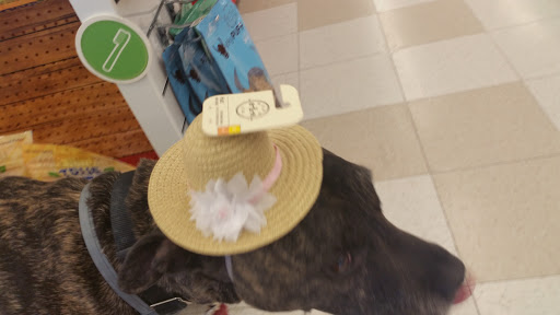 Pet Supply Store «Petco Animal Supplies», reviews and photos, 12163 Sheridan Blvd, Broomfield, CO 80020, USA