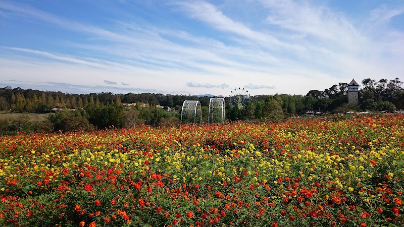 堺 緑のミュージアム ハーベストの丘 大阪府堺市南区鉢ヶ峯寺 公園 グルコミ