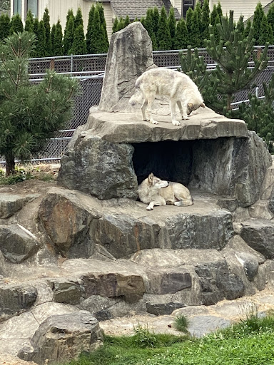 Zoo «Cougar Mountain Zoo», reviews and photos, 19525 SE 54th St, Issaquah, WA 98027, USA