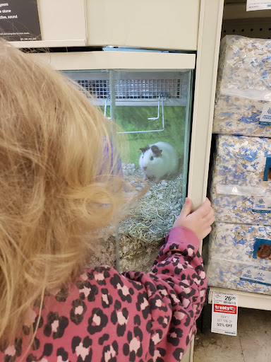 Pet Supply Store «PetSmart», reviews and photos, 1276 Bald Hill Rd, Warwick, RI 02886, USA