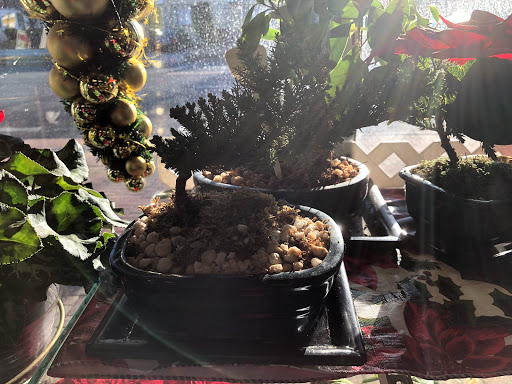 Florist «Gerties Flowers», reviews and photos, 806 Meacham Ave, Elmont, NY 11003, USA