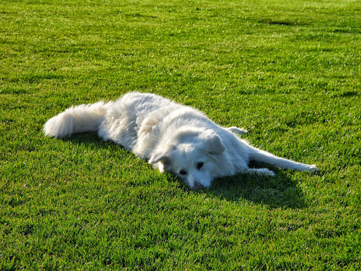 1739 Willow Pass Rd, Concord, CA 94520, USA