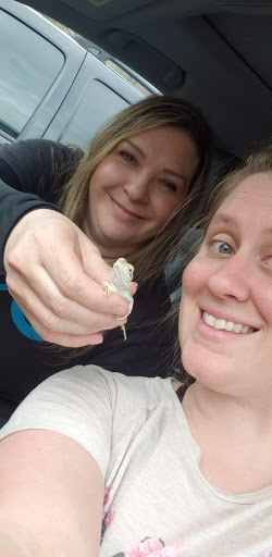 Pet Supply Store «Petco Animal Supplies», reviews and photos, 9 W Avon Rd, Avon, CT 06001, USA