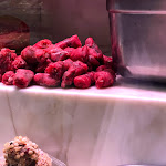 Photo n°2 de l'avis de G. fait le 10/11/2019 à 12:49 sur le  Boucherie Popolare à Milan