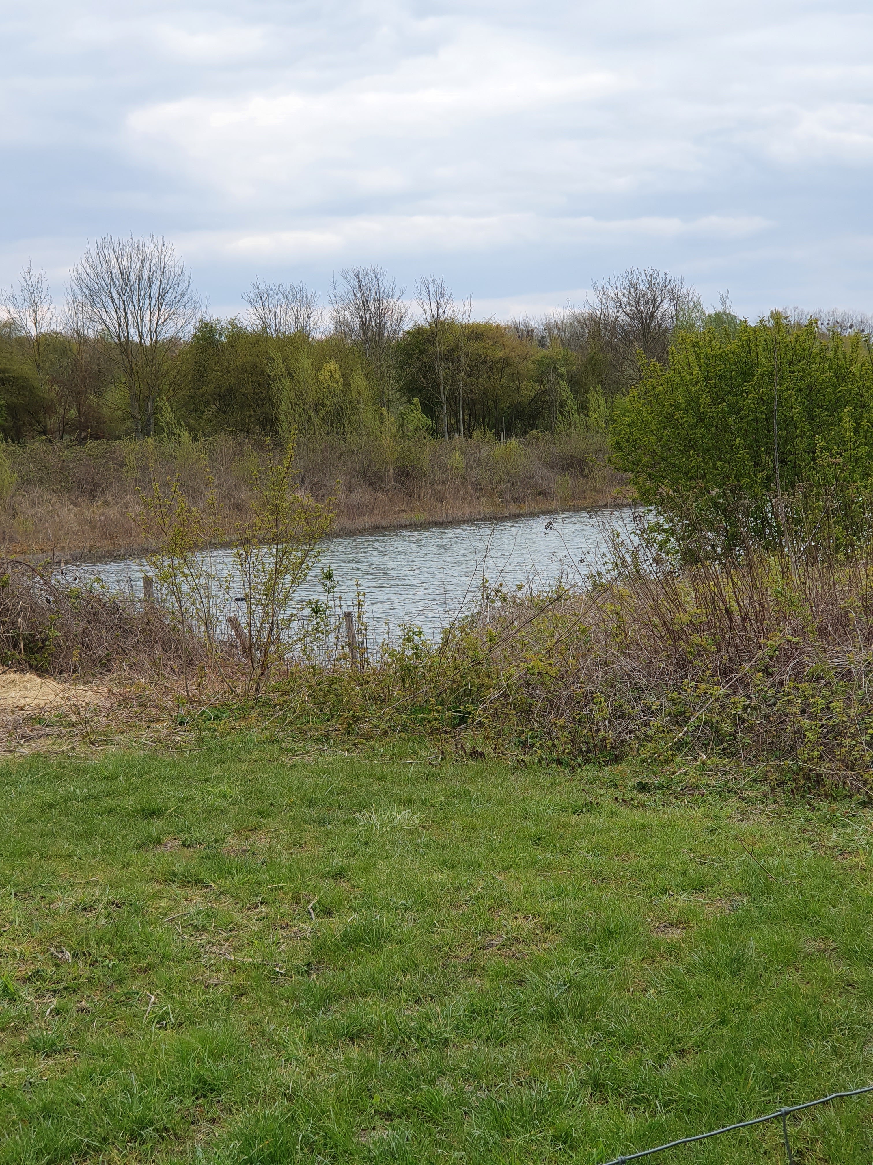 Photo n° 8 de l'avis de Bénédicte.L fait le 16/04/2021 à 17:41