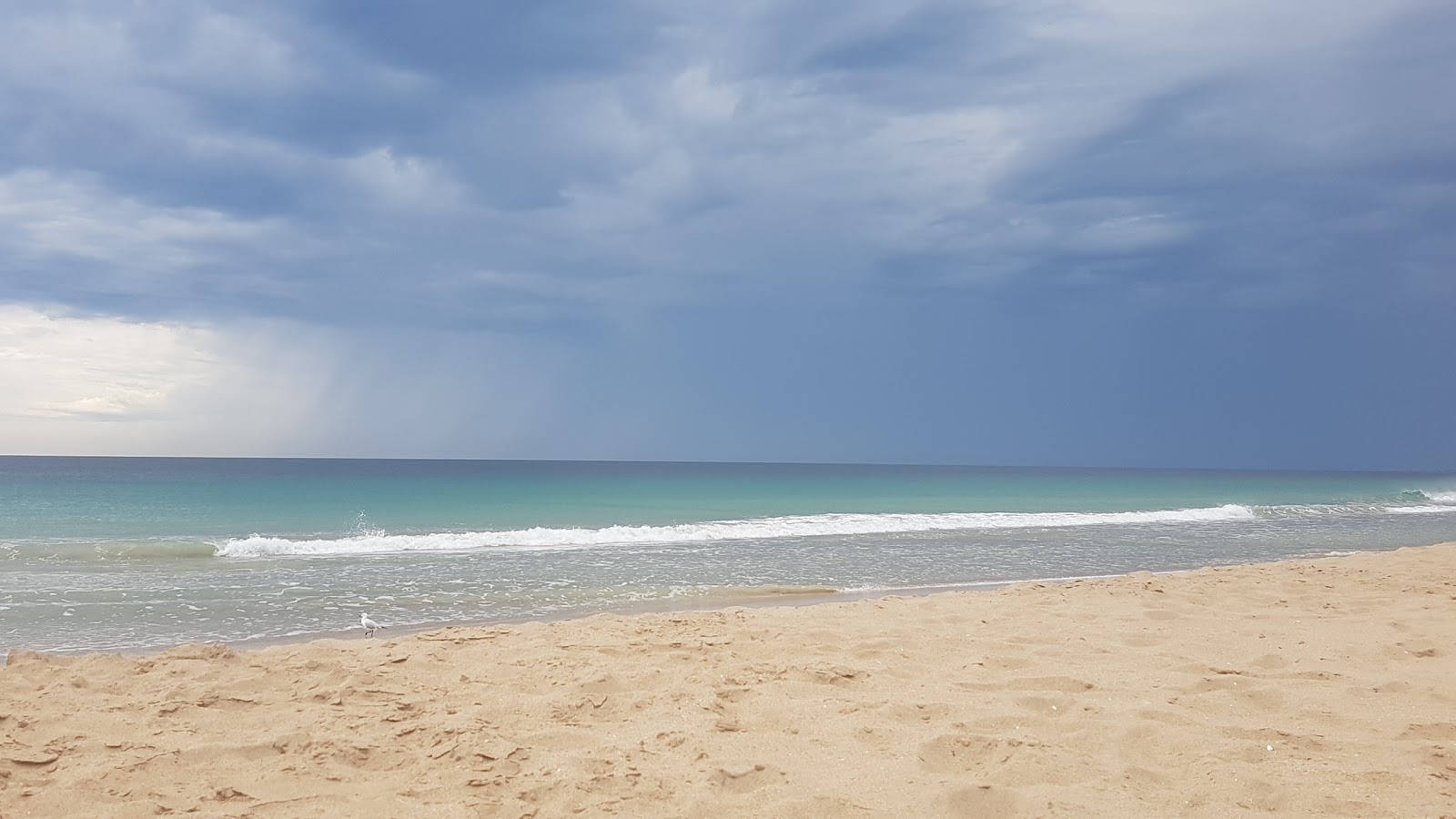 Singleton Beach的照片 带有碧绿色纯水表面