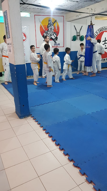 'Sakura Dojo' - Shorin Ryu Karate-Do