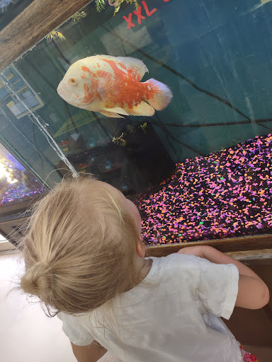 Pet Store «Deridder Pets», reviews and photos, 709 Mahlon St, DeRidder, LA 70634, USA