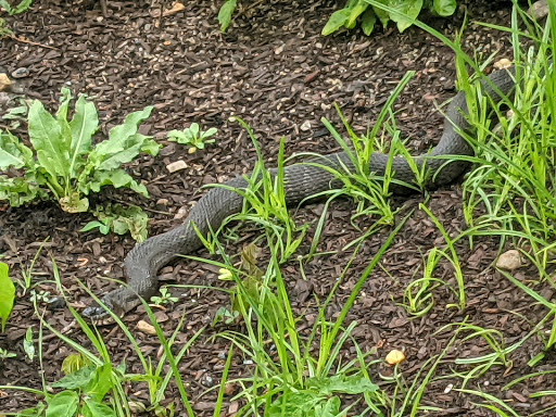 Park «National Park Ranger», reviews and photos, 1 Depot Square, Woonsocket, RI 02895, USA