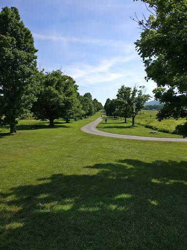 Art Center «Storm King Art Center», reviews and photos, 1 Museum Rd, New Windsor, NY 12553, USA
