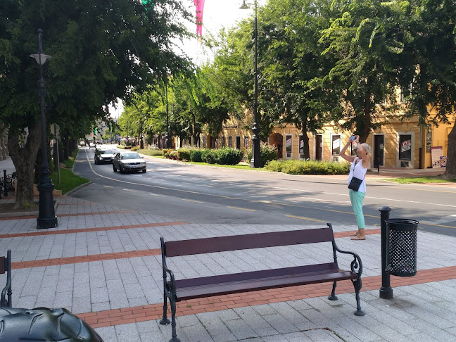 Első Magyar Biztosító Társaság - Nagykanizsa