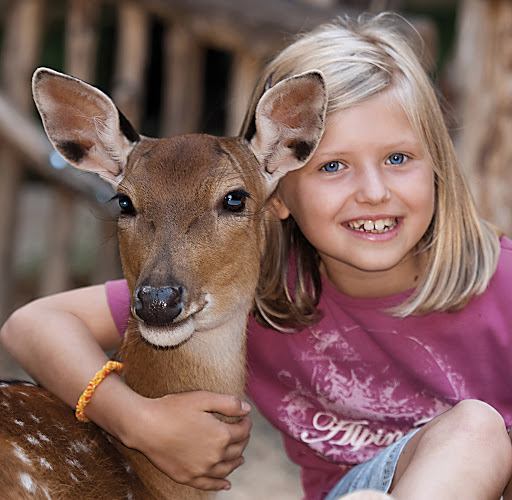 Naturschutz-Tierpark Görlitz unter Görlitz, 