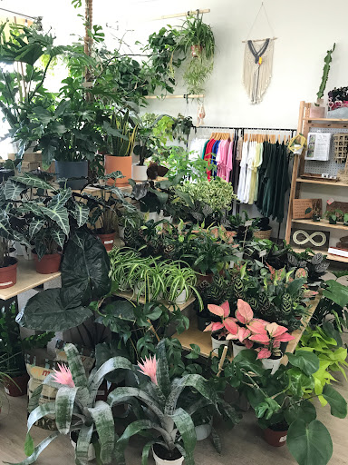 PlanterSam image