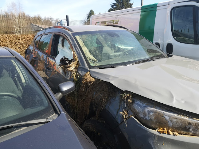 kopen schade autos - Turnhout