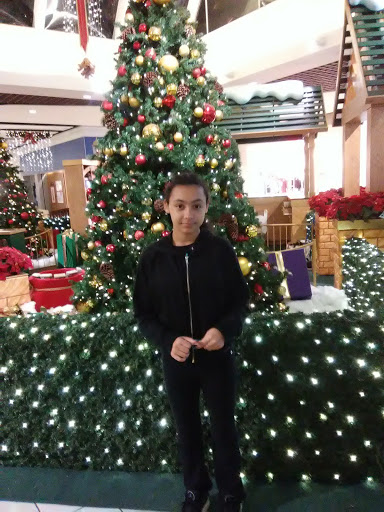 Shopping Mall «Green Tree Mall», reviews and photos, 757 E Lewis and Clark Pkwy, Clarksville, IN 47129, USA