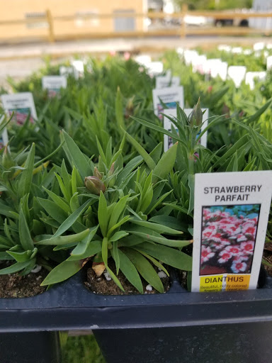 Florist «Lyndhurst Florist», reviews and photos, 5268 Mayfield Rd, Lyndhurst, OH 44124, USA