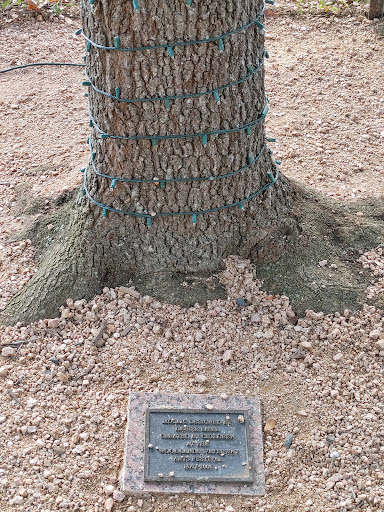 Park «Town Green Park», reviews and photos, 2099 Lake Robbins Dr, The Woodlands, TX 77380, USA