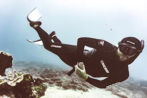 OceanSense Freediving - Airlie Beach image