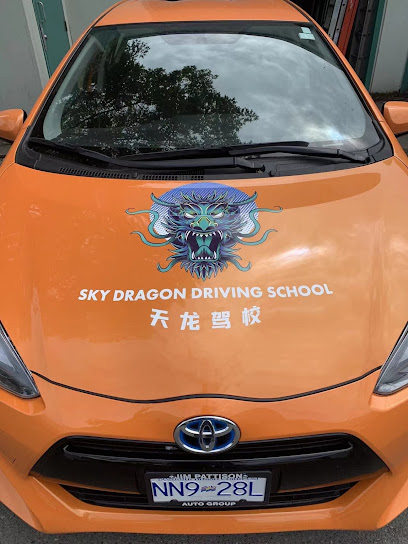 SKY DRAGON DRIVING SCHOOL