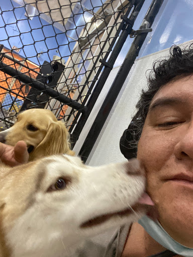 Pet Groomer «The Pet Set - Buckhead», reviews and photos, 2480 Briarcliff Rd NE #3, Atlanta, GA 30329, USA