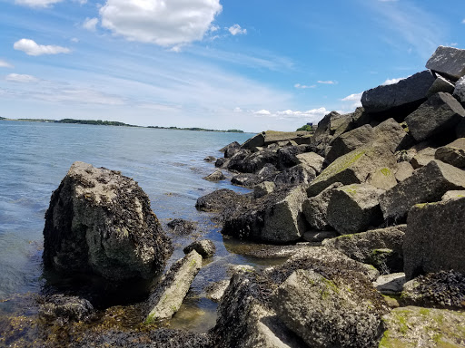 Park «Joe Moakley Park», reviews and photos, 1005 Columbia Road, Boston, MA 02127, USA