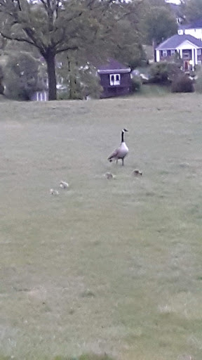 Country Club «Whitmoor Country Club», reviews and photos, 1100 Whitmoor Dr, Weldon Spring, MO 63304, USA