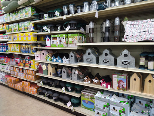 Home Goods Store «Christmas Tree Shops», reviews and photos, 46 Springer Dr, Bangor, ME 04401, USA