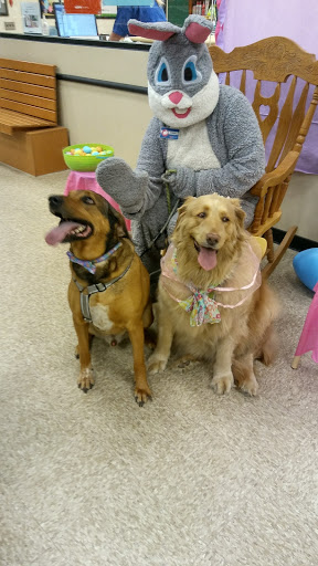 Pet Supply Store «PetSmart», reviews and photos, 985 Erica Ln, Yorkville, IL 60560, USA