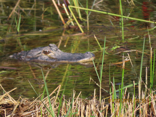 Boat Ramp «South Bay RV Park», reviews and photos, 100 Levee Rd, South Bay, FL 33493, USA