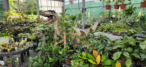 Plant Nursery «Lukas Nursery & Butterfly Encounter», reviews and photos, 1909 Slavia Rd, Oviedo, FL 32765, USA