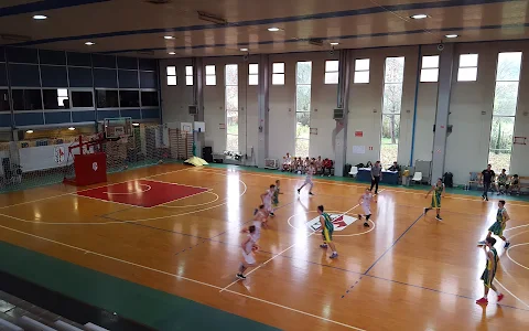 Centro Universitario Sportivo Firenze image
