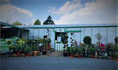 Eliezer Fleurs à Baugé en Anjou